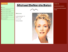 Tablet Screenshot of michaeldenardissalon.com